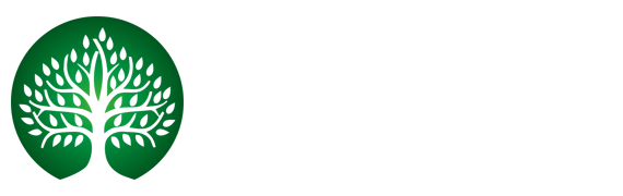 mk体育(MKsports集团)股份公司